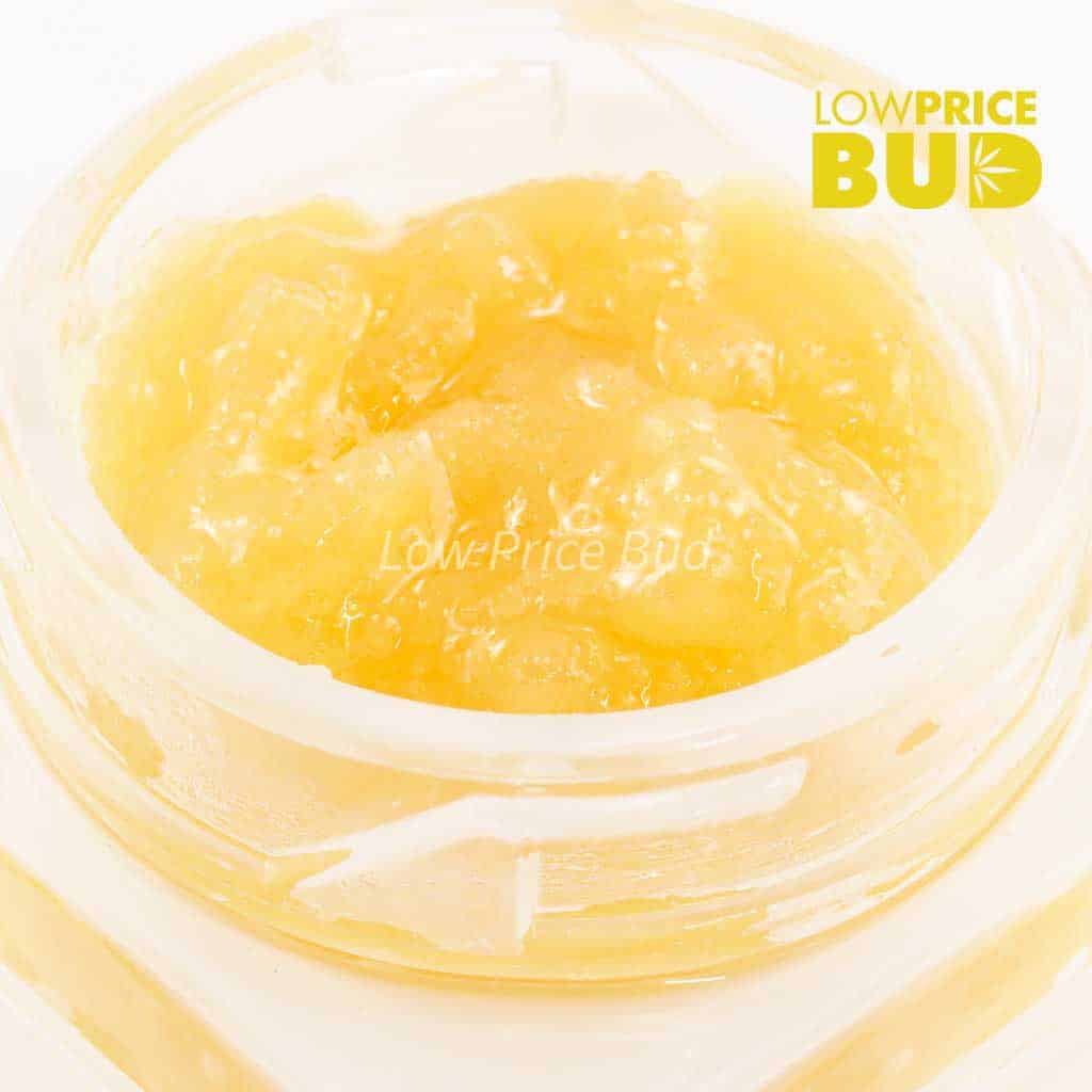 Live Resin – Blueberry Stomper Buy Live Resin – Blueberry Stomper online Canada