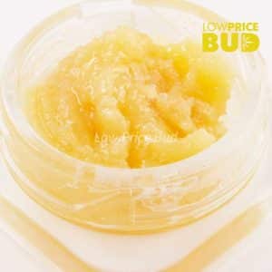 Live Resin – Gummy Bearz Buy Live Resin – Gummy Bearz online Canada