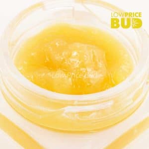 Live Resin – Tropical Punch Buy Live Resin – Tropical Punch online Canada
