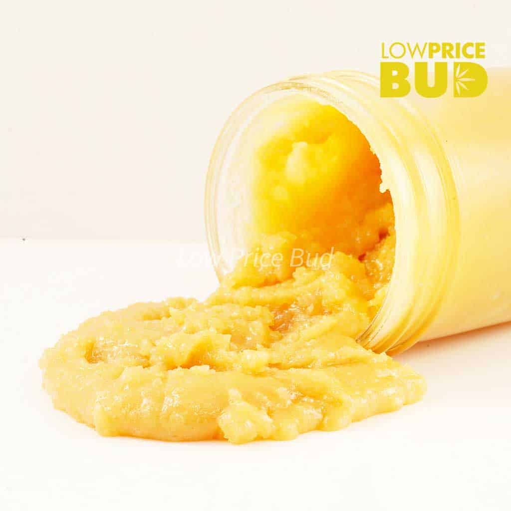 Live Resin – Gummy Bearz Buy Live Resin – Gummy Bearz online Canada