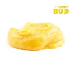 Caviar – Candyland Buy Caviar – Candyland online Canada