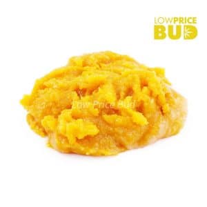 Buy Caviar – Hindu Kush online Canada