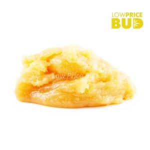 Caviar – Island Pink Kush Buy Caviar – Island Pink Kush online Canada