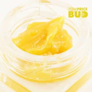 Caviar – Candyland Buy Caviar – Candyland online Canada