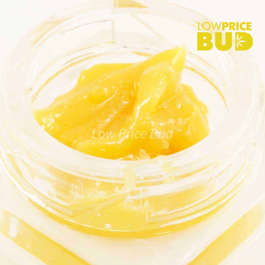 Caviar – Candyland Buy Caviar – Candyland online Canada