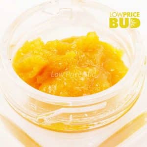 Buy Caviar – Hindu Kush online Canada