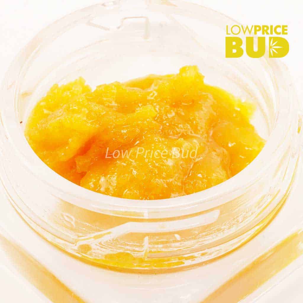 Caviar – Hindu Kush Buy Caviar – Hindu Kush online Canada