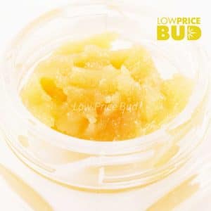 Caviar – Island Pink Kush Buy Caviar – Island Pink Kush online Canada