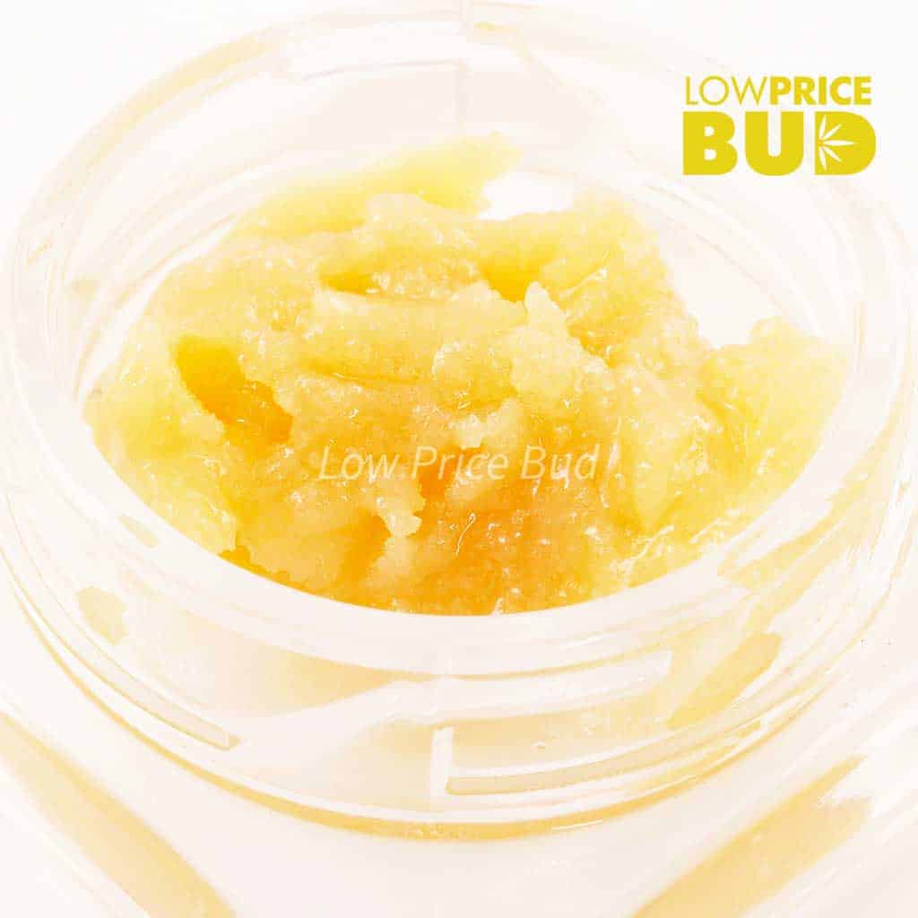 Caviar – Island Pink Kush Buy Caviar – Island Pink Kush online Canada