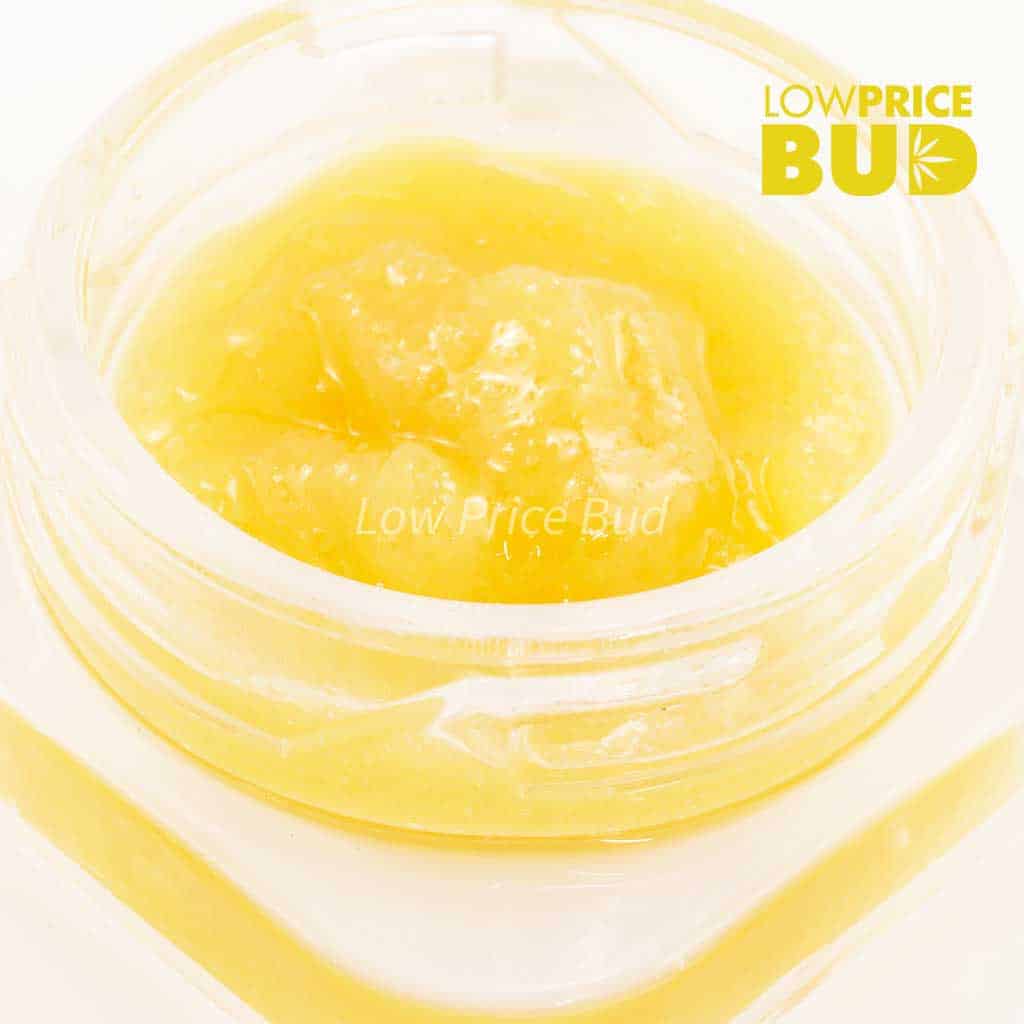 Caviar – Juicy Fruit Buy Caviar – Juicy Fruit online Canada