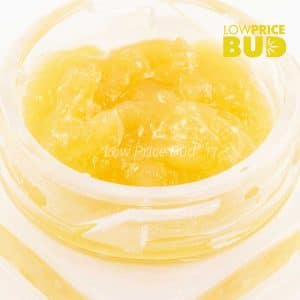 Caviar – Pink Gas Mask Buy Caviar – Pink Gas Mask online Canada