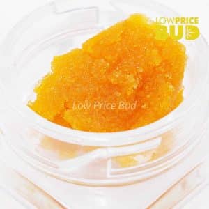 Caviar – Pink Rockstar Buy Caviar – Pink Rockstar online Canada