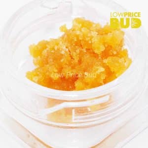 Caviar – Rockstar Buy Caviar – Rockstar online Canada