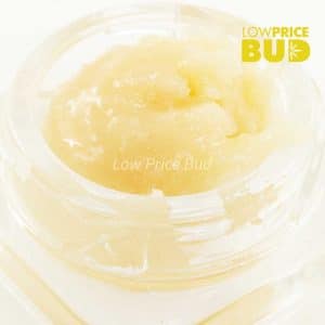 Caviar – Watermelon Punch Buy Caviar – Watermelon Punch online Canada