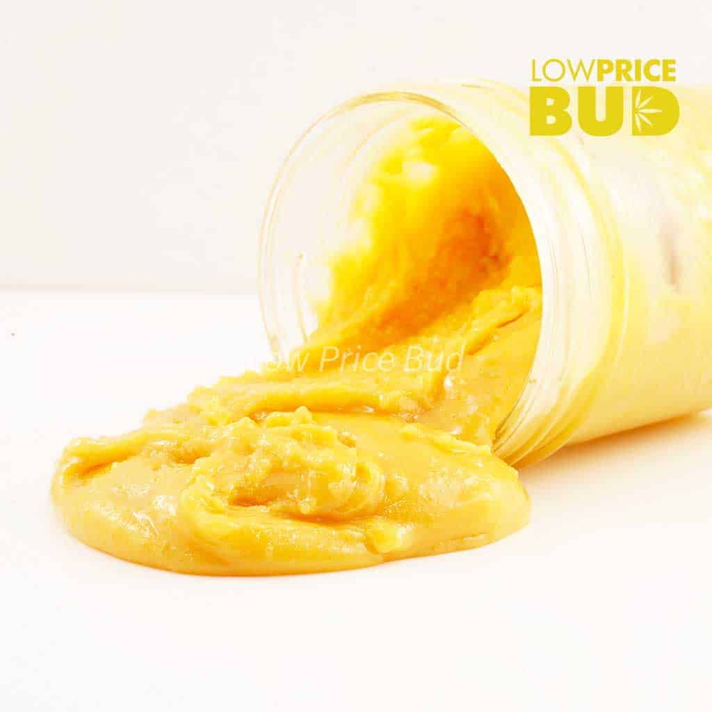 Caviar – Candyland Buy Caviar – Candyland online Canada