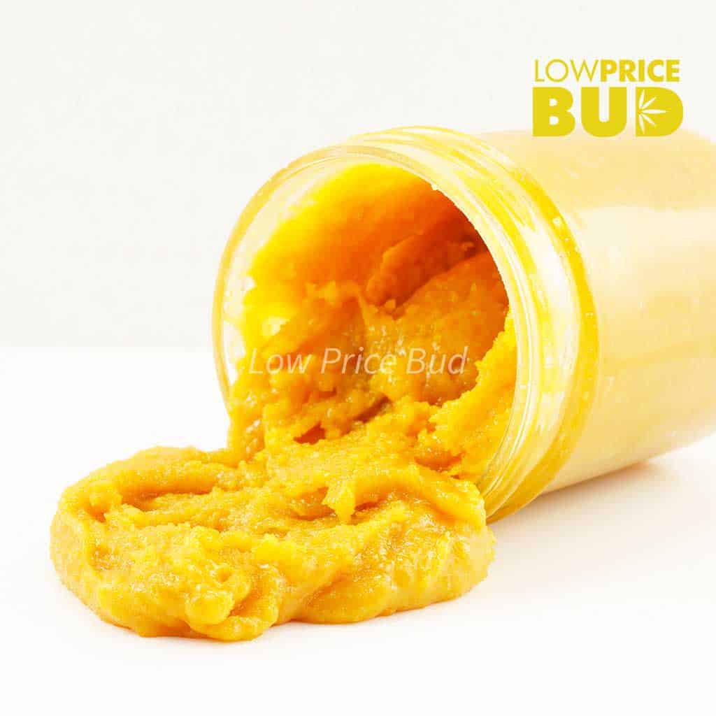 Caviar – Hindu Kush Buy Caviar – Hindu Kush online Canada