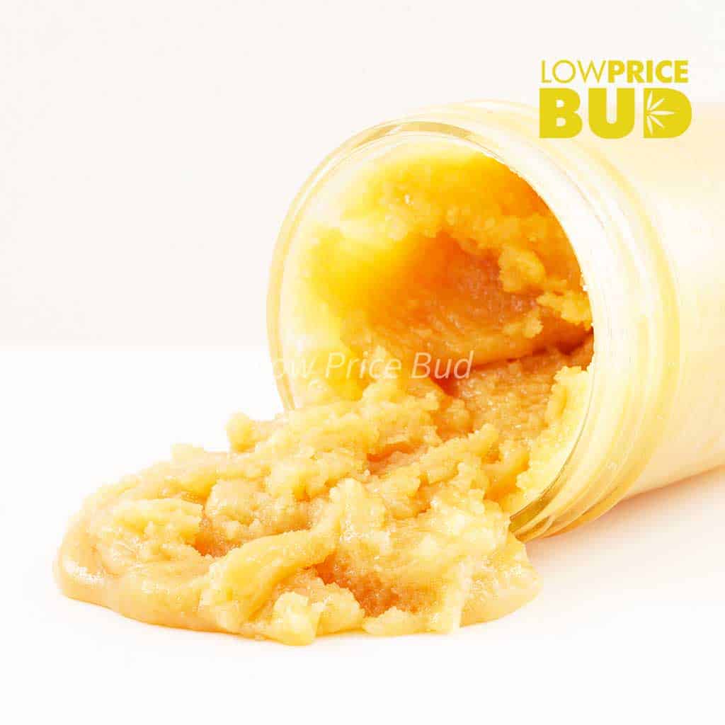 Caviar – Island Pink Kush Buy Caviar – Island Pink Kush online Canada