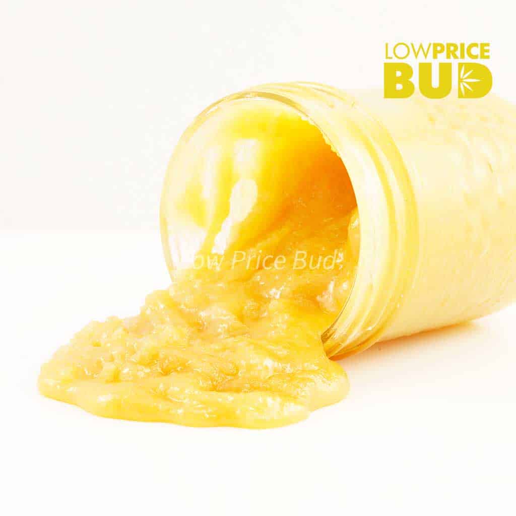 Caviar – Juicy Fruit Buy Caviar – Juicy Fruit online Canada