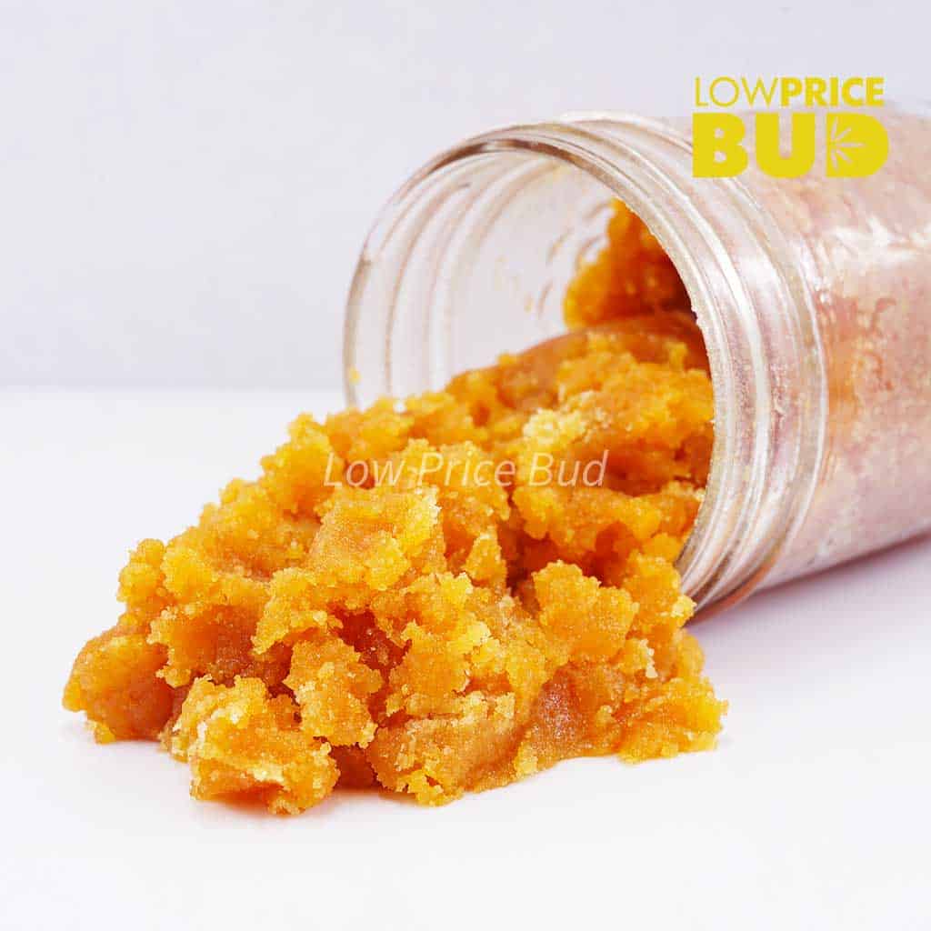 Caviar – Rockstar Buy Caviar – Rockstar online Canada