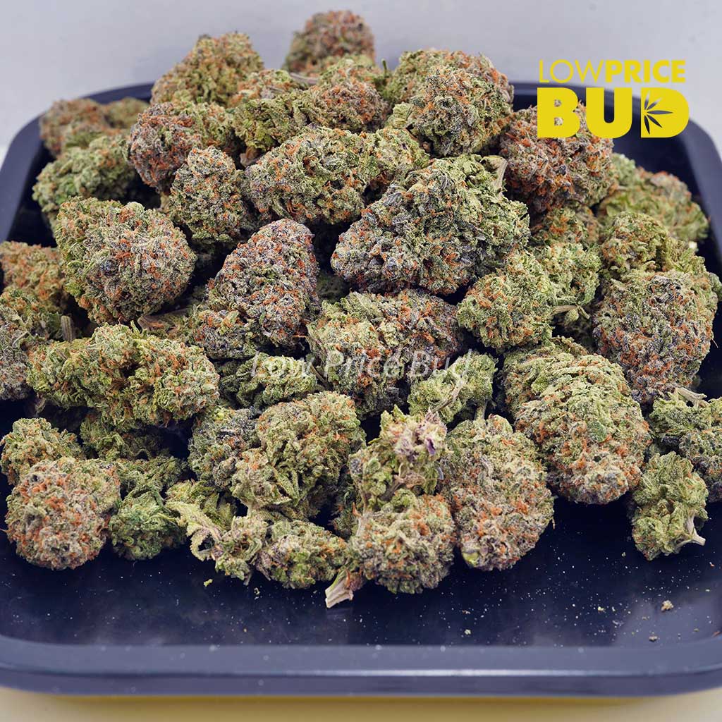 Pineapple Express (AA) Buy Pineapple Express (AA) online Canada