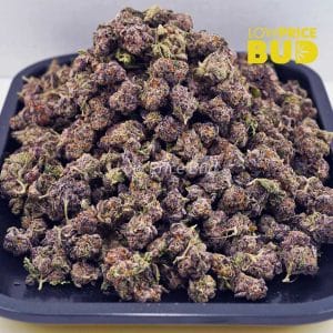 Watermelon Punch (AAAA) – Popcorn Nugs Buy Watermelon Punch (AAAA) – Popcorn Nugs online Canada