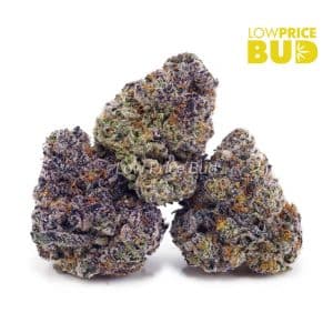 Apple Fritter (Craft Cannabis) Buy Apple Fritter (Craft Cannabis) online Canada