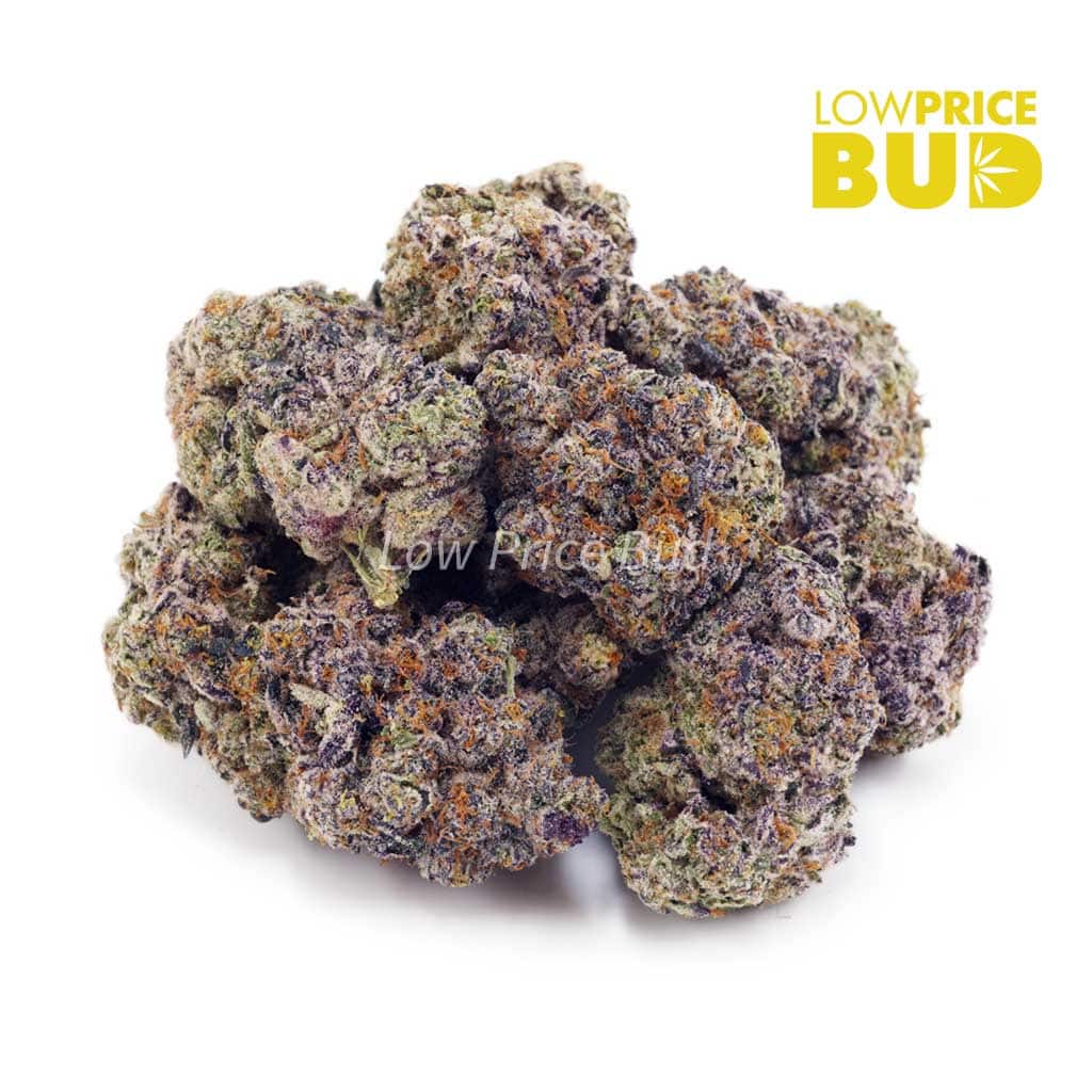 Apple Fritter (Craft Cannabis) Buy Apple Fritter (Craft Cannabis) online Canada