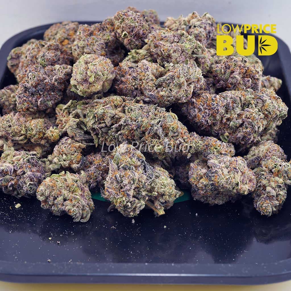 Apple Fritter (Craft Cannabis) Buy Apple Fritter (Craft Cannabis) online Canada