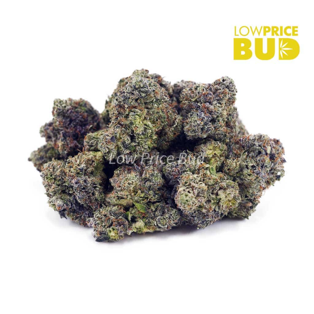 Master Kush Ultra (AAAA) Buy Master Kush Ultra (AAAA) online Canada