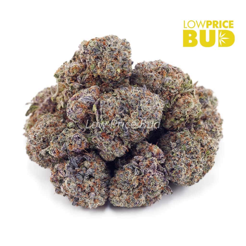 First Class Funk (Craft Cannabis) Buy First Class Funk (Craft Cannabis) online Canada