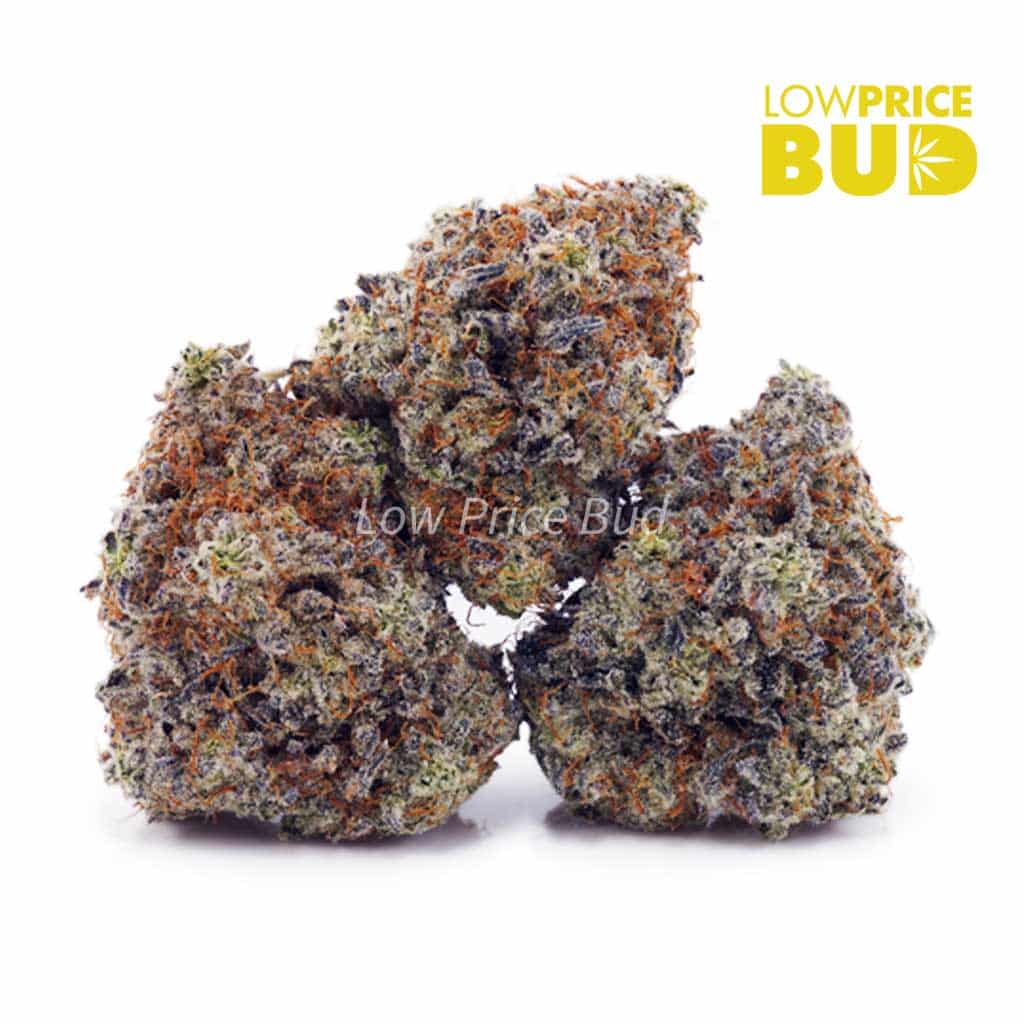 Cookie Dough (AA) Buy Cookie Dough (AA) online Canada