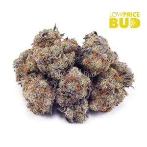 Buy Cookie Dough (AA) online Canada