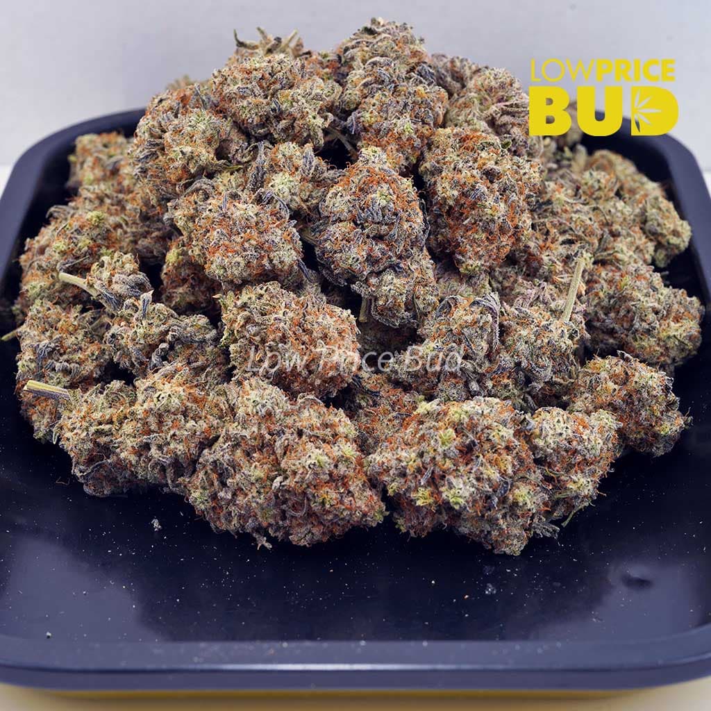 Cookie Dough (AA) Buy Cookie Dough (AA) online Canada