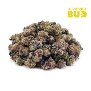 Buy Gummy Bearz (AAAA) – Popcorn Nugs online Canada