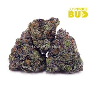 Buy Build Your Own 7g online Canada