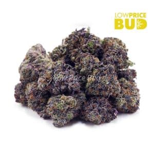 Ghost OG (AAAA) Buy Ghost OG (AAAA) online Canada
