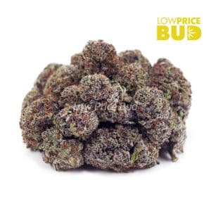 Peanut Butter Cups (AAAA) Buy Peanut Butter Cups (AAAA) online Canada