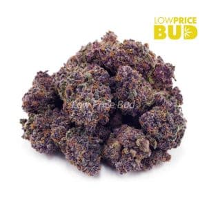 Huckleberry (AAAA) Buy Huckleberry (AAAA) online Canada