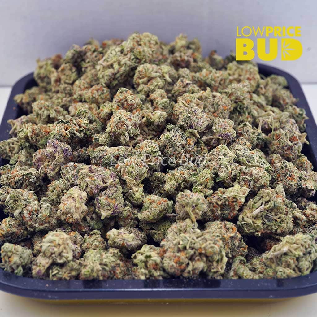 Pineapple Skunk (AAAA) – Popcorn Nugs Buy Pineapple Skunk (AAAA) – Popcorn Nugs online Canada