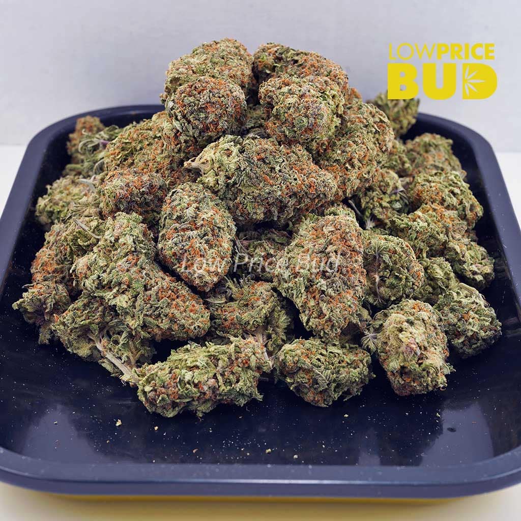Maui Wowie (AA) Buy Maui Wowie (AA) online Canada