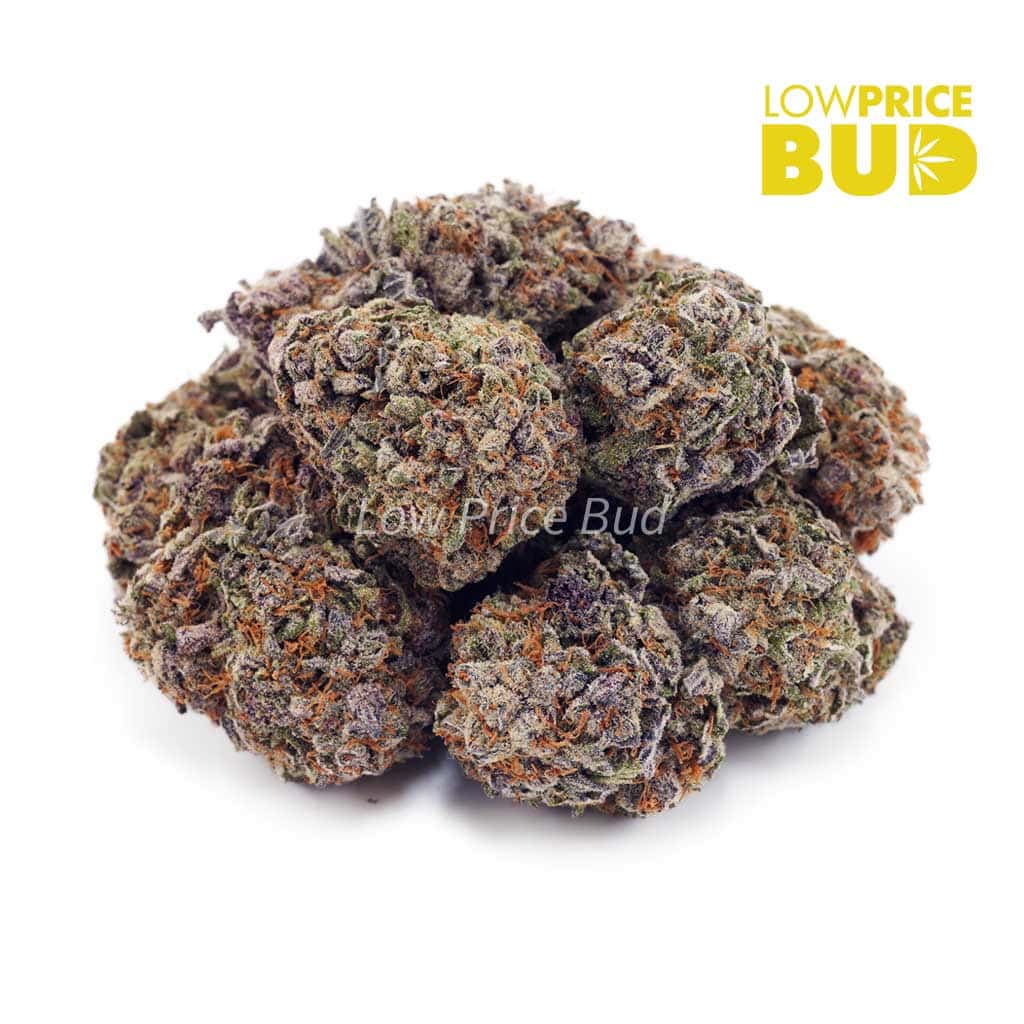 Granddaddy Purple (AAAA) Buy Granddaddy Purple (AAAA) online Canada