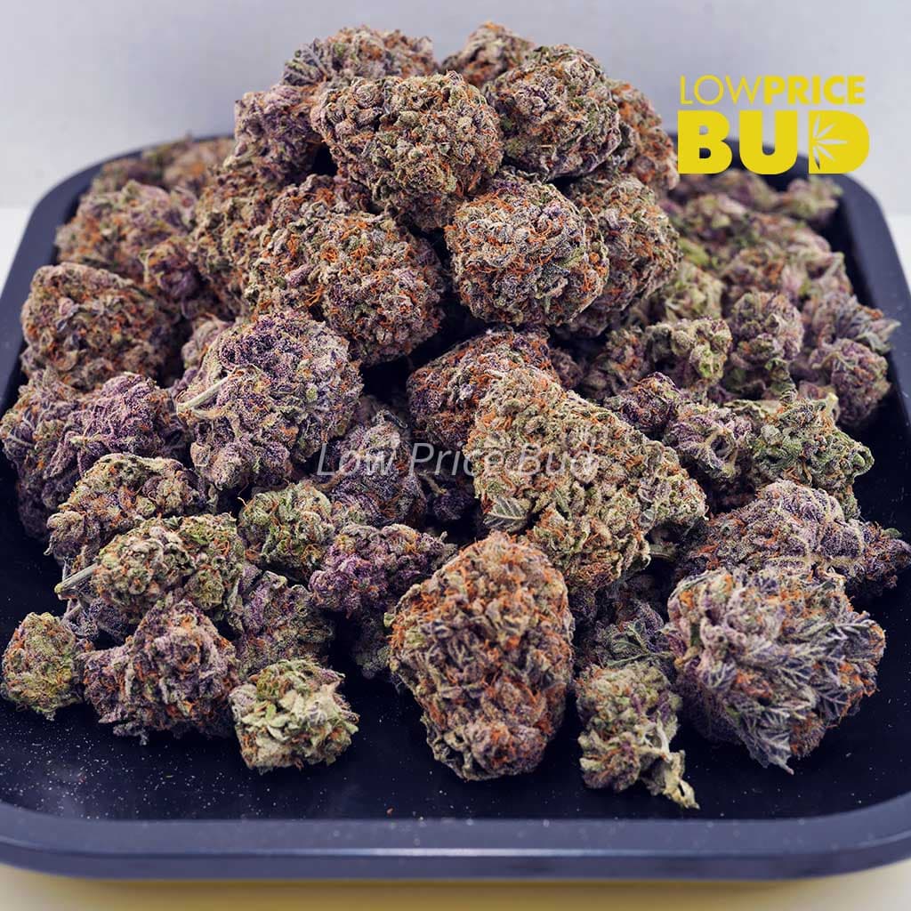 Granddaddy Purple (AAAA) Buy Granddaddy Purple (AAAA) online Canada