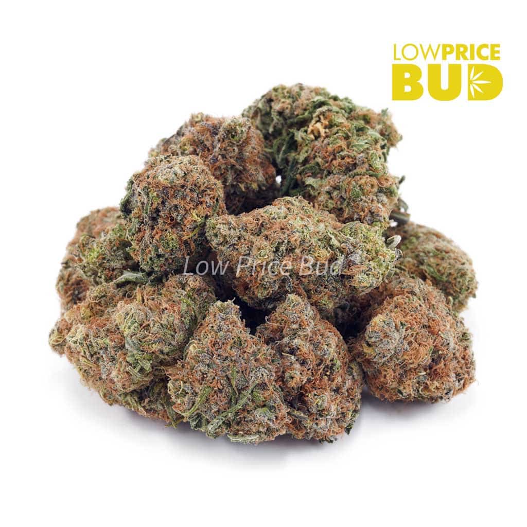 White Biscotti (AAAA) Buy White Biscotti (AAAA) online Canada