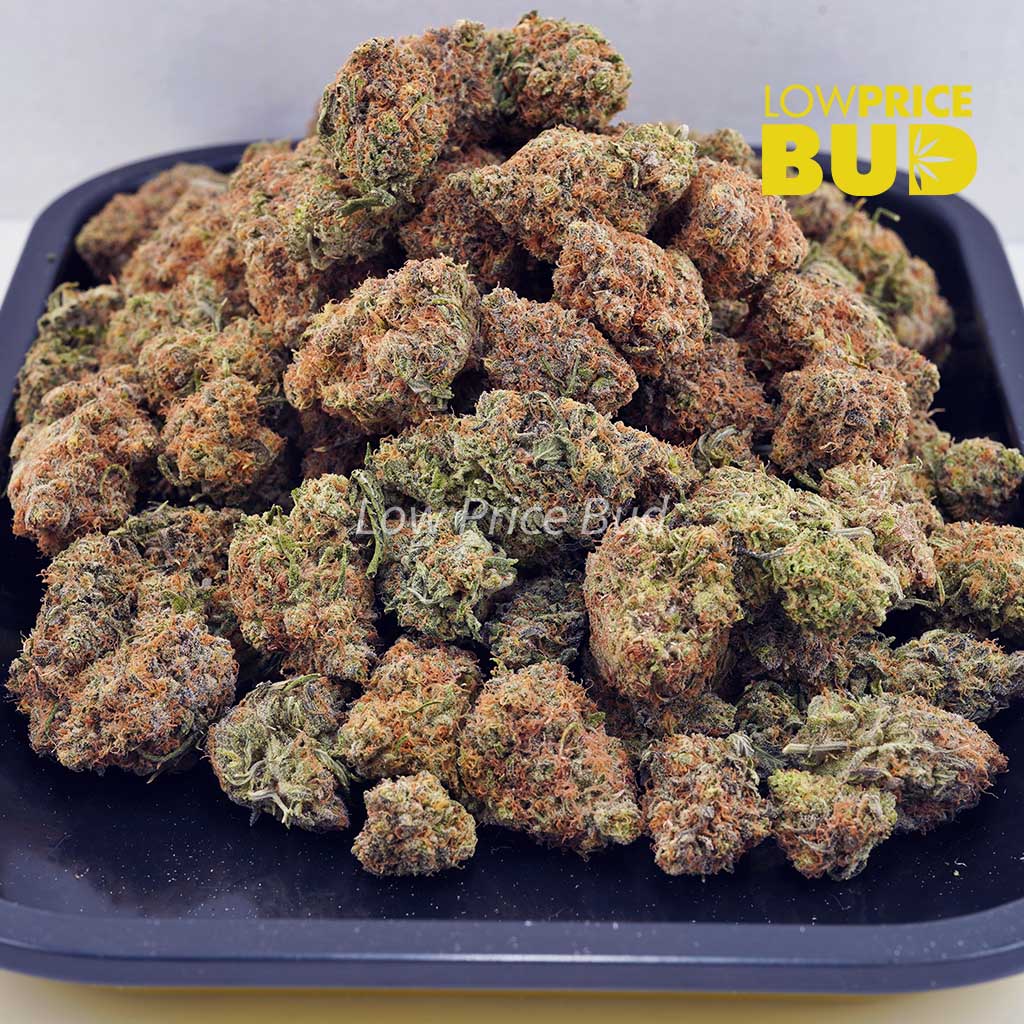 White Biscotti (AAAA) Buy White Biscotti (AAAA) online Canada