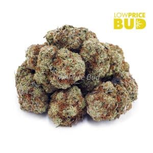 Peach Pie (AAA) Buy Peach Pie (AAA) online Canada