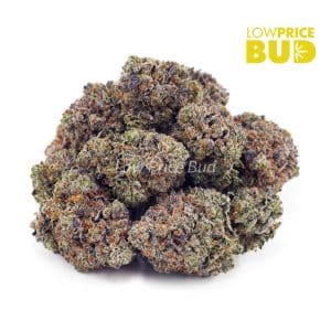 Island Pink Kush (Craft Cannabis) Buy Island Pink Kush (Craft Cannabis) online Canada
