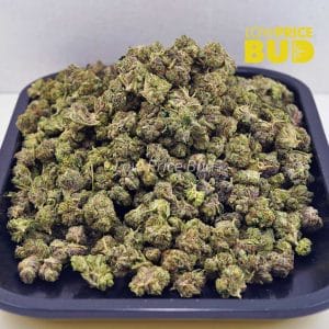 Pink Tuna (AAAA) – Popcorn Nugs Buy Pink Tuna (AAAA) – Popcorn Nugs online Canada