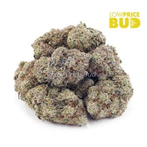 Green Goblin (AA) Buy Green Goblin (AA) online Canada