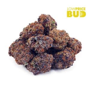 King Louie XIII (AA) Buy King Louie XIII (AA) online Canada