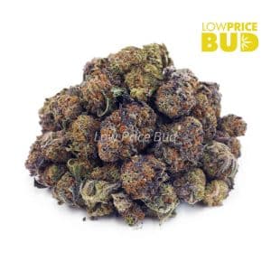 Buy Build Your Own (AAAA) Popcorn Pound 4 x 112g online Canada